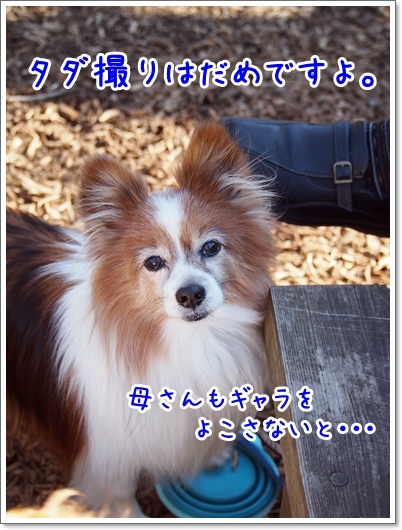 d0013149_00034006.jpg