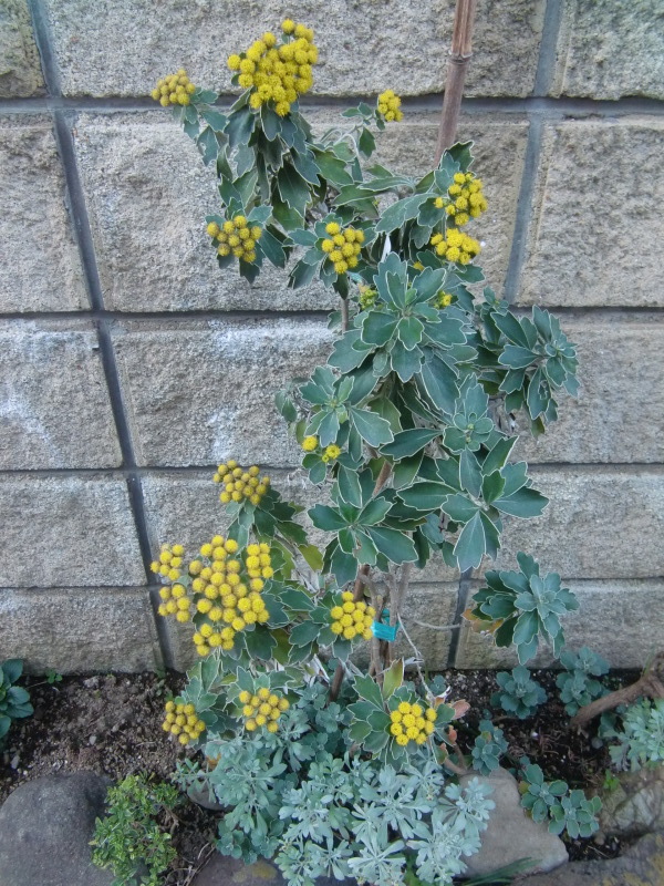 f0329849_22043495.jpg