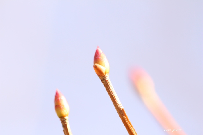 b0328557_20465669.jpg
