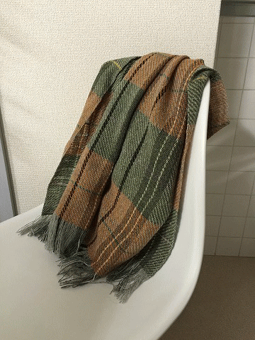 c0130060_1685645.gif