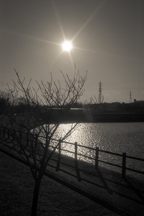 b0175964_8543979.jpg