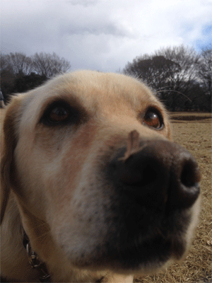 d0166472_10411480.gif