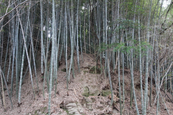 e0024081_20163552.jpg
