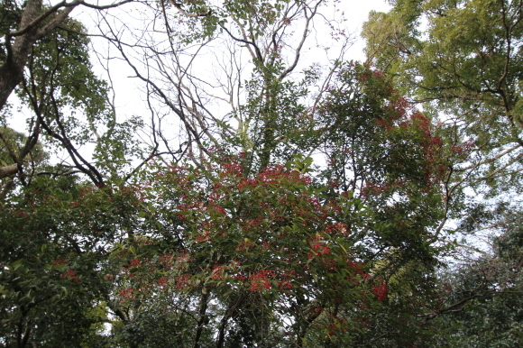 e0024081_20184831.jpg