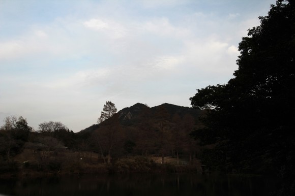 e0024081_20204732.jpg