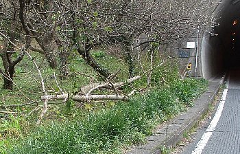 f0003283_13390060.jpg