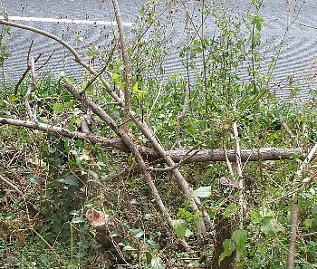 f0003283_13390766.jpg