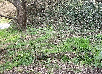 f0003283_13391409.jpg