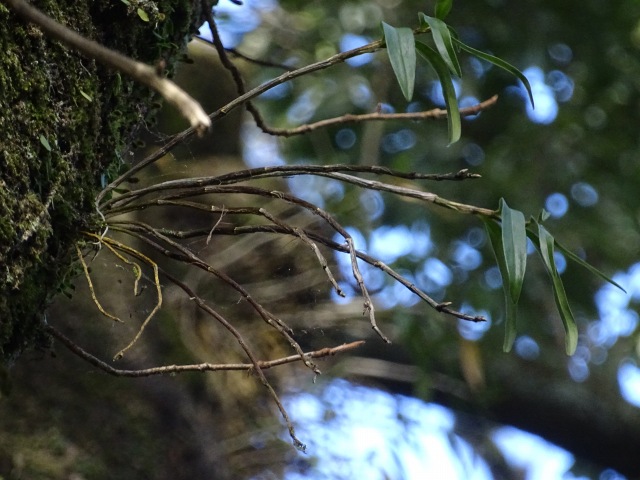 f0357487_22495285.jpg