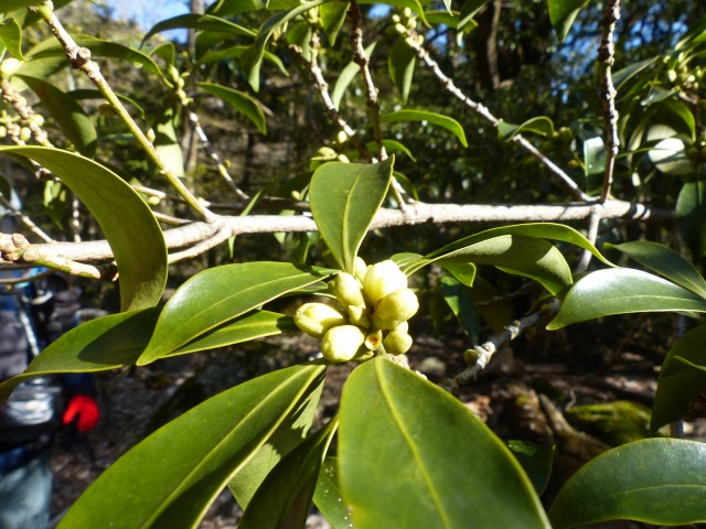 f0357487_2249948.jpg