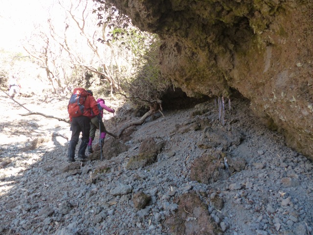 f0357487_2254385.jpg