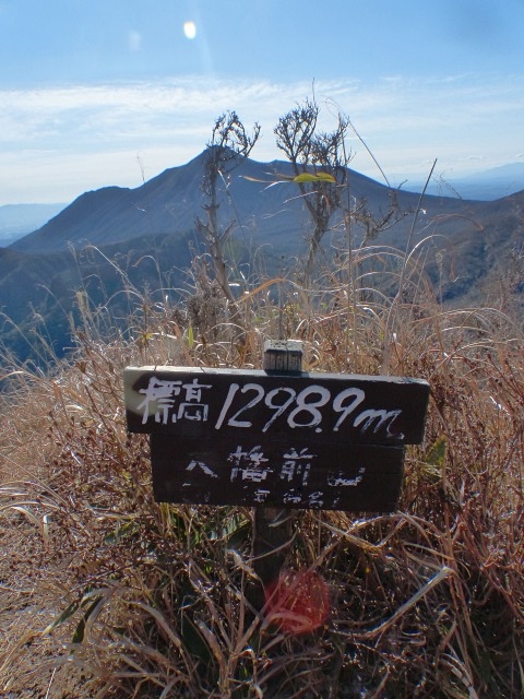 f0357487_22544079.jpg