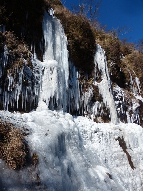 f0357487_2384898.jpg