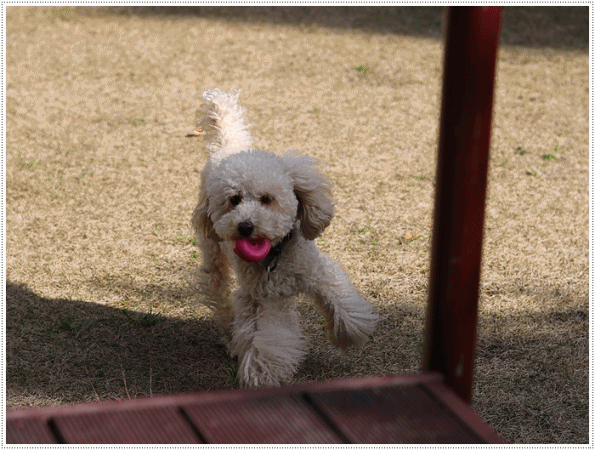 b0175688_00271534.gif