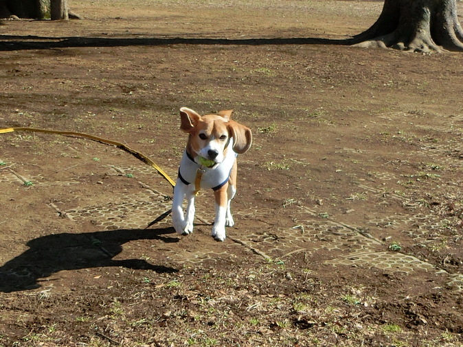 a0319693_833999.jpg
