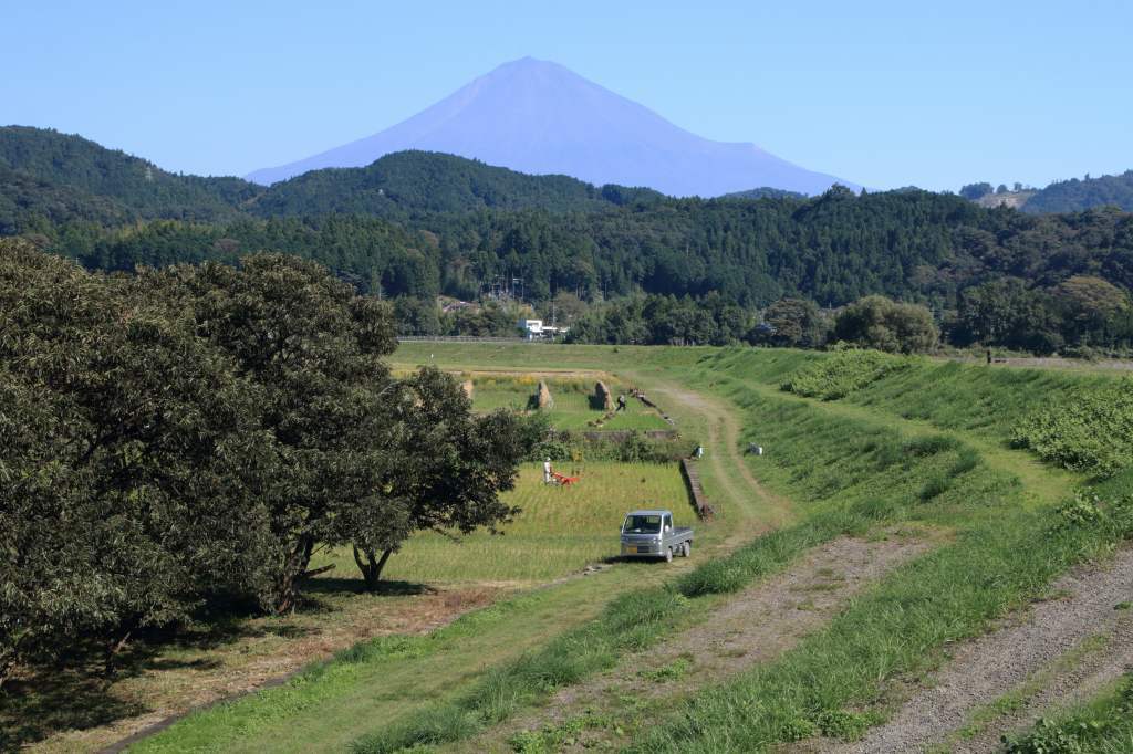 a0188405_21251873.jpg