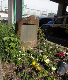 b0273309_1643921.png