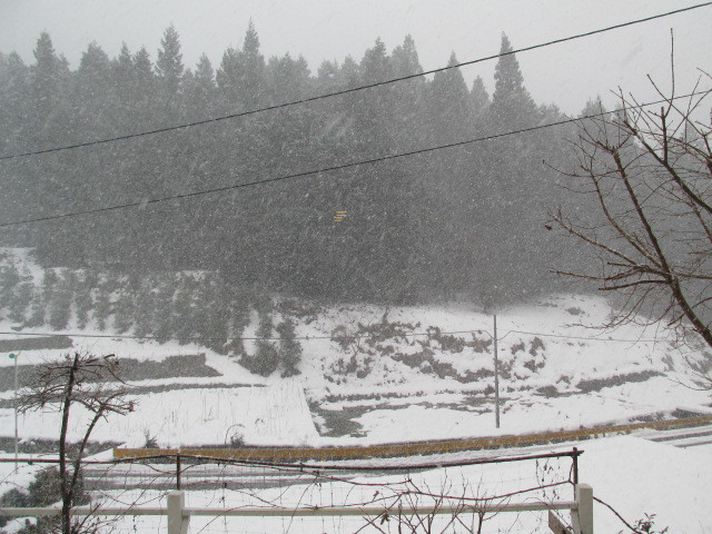 f0341616_15312207.jpg