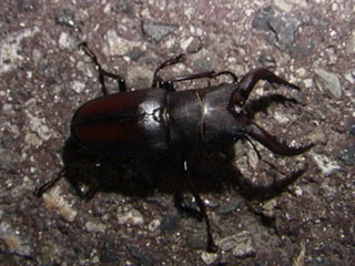 c0346119_17121935.jpg