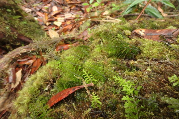 d0187020_21152032.jpg