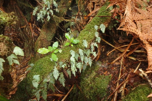 d0187020_2123862.jpg