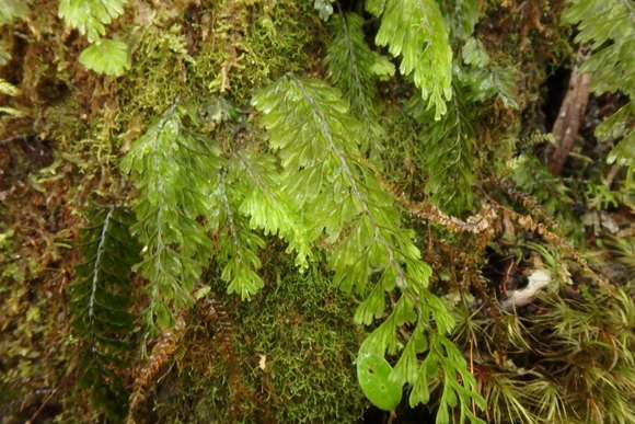 d0187020_21325612.jpg