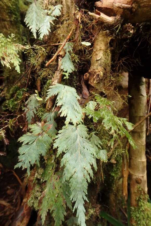 d0187020_21442529.jpg