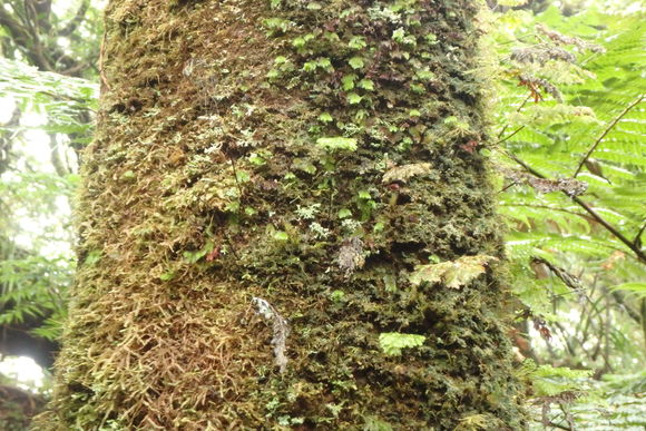 d0187020_2210401.jpg