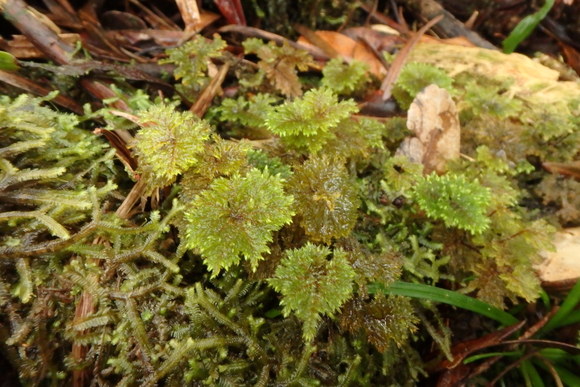 d0187020_2211314.jpg
