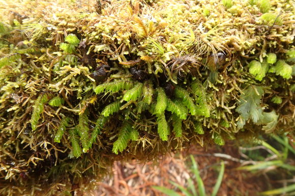 d0187020_22131133.jpg