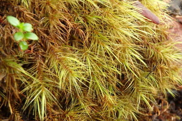 d0187020_2214551.jpg