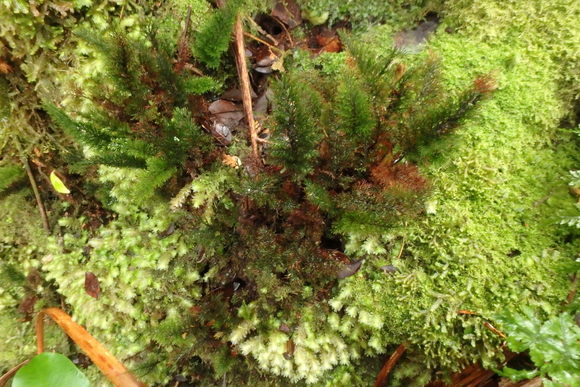 d0187020_226224.jpg
