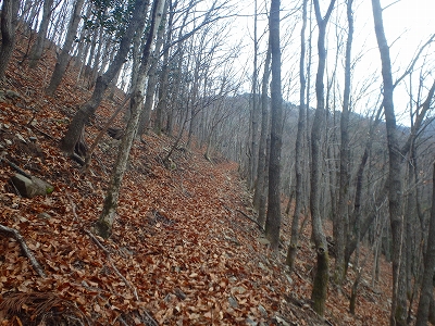 f0193521_14221129.jpg