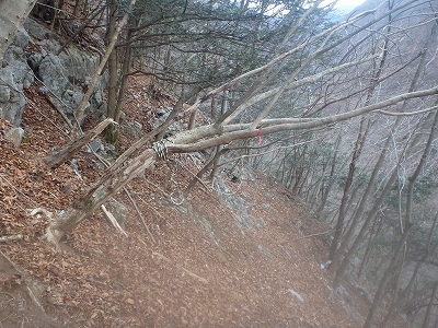 f0193521_14251667.jpg