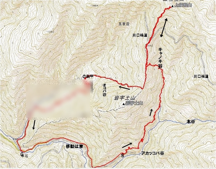 f0193521_1575578.jpg