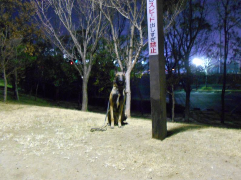 f0088731_00593641.jpg