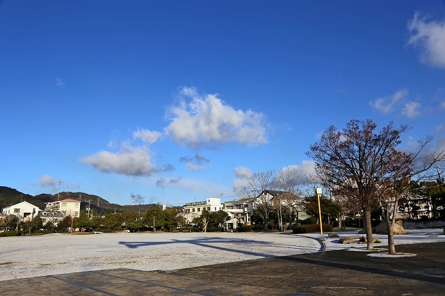 a0242438_22483187.jpg