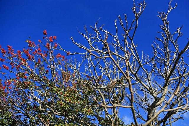 a0242438_22502929.jpg