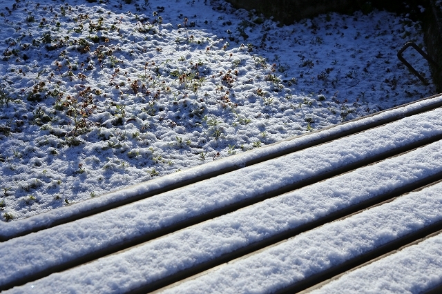 a0242438_22530308.jpg