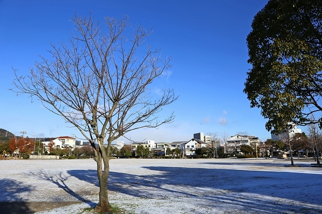 a0242438_22530367.jpg