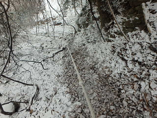 f0334143_943082.jpg
