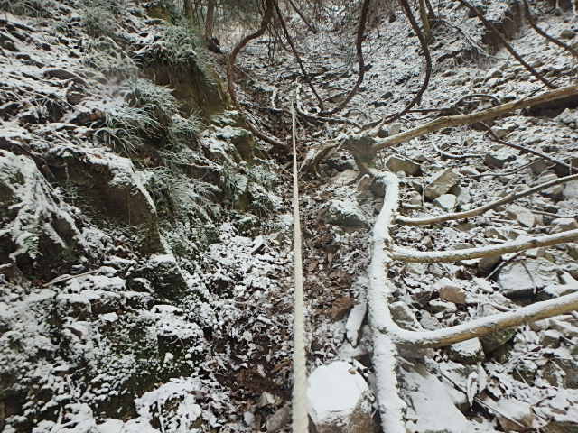 f0334143_944023.jpg