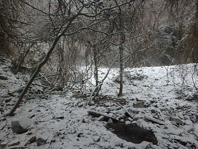f0334143_945232.jpg