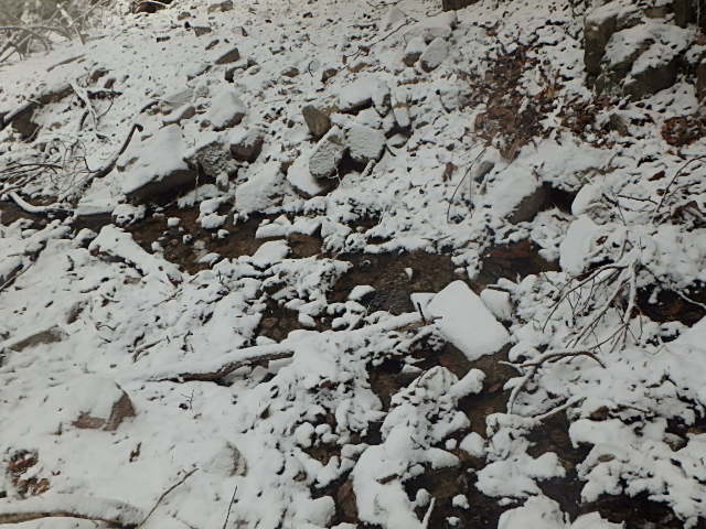 f0334143_953629.jpg