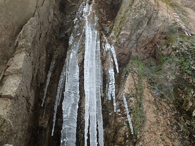 f0334143_954552.jpg