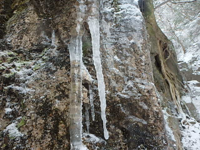 f0334143_955710.jpg