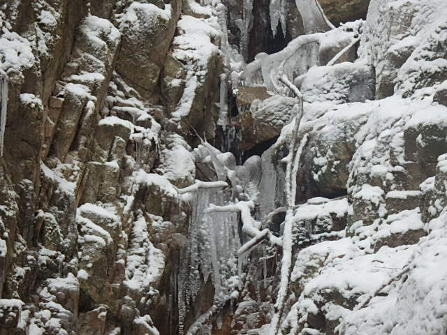 f0334143_9589.jpg