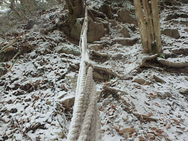 f0334143_981668.jpg