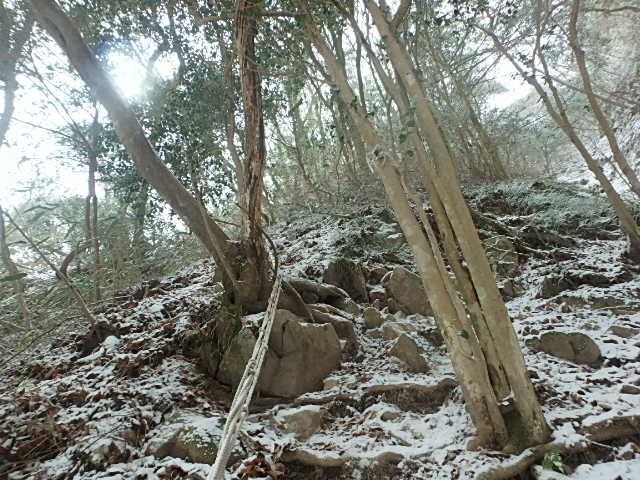 f0334143_983274.jpg