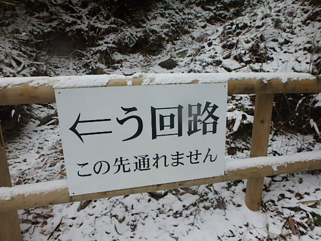 f0334143_994668.jpg